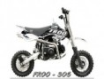 FROO 306